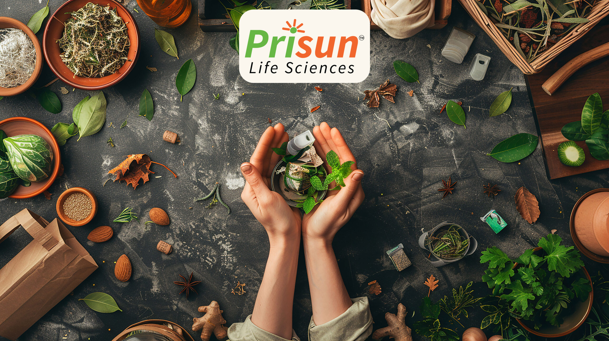 Ayurvedic Products Manufacturer in India – Tradition Meets Modern Wellness